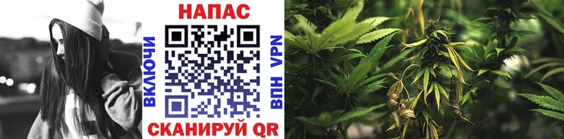 где купить наркоту  Шелехов  Каннабис White Widow 